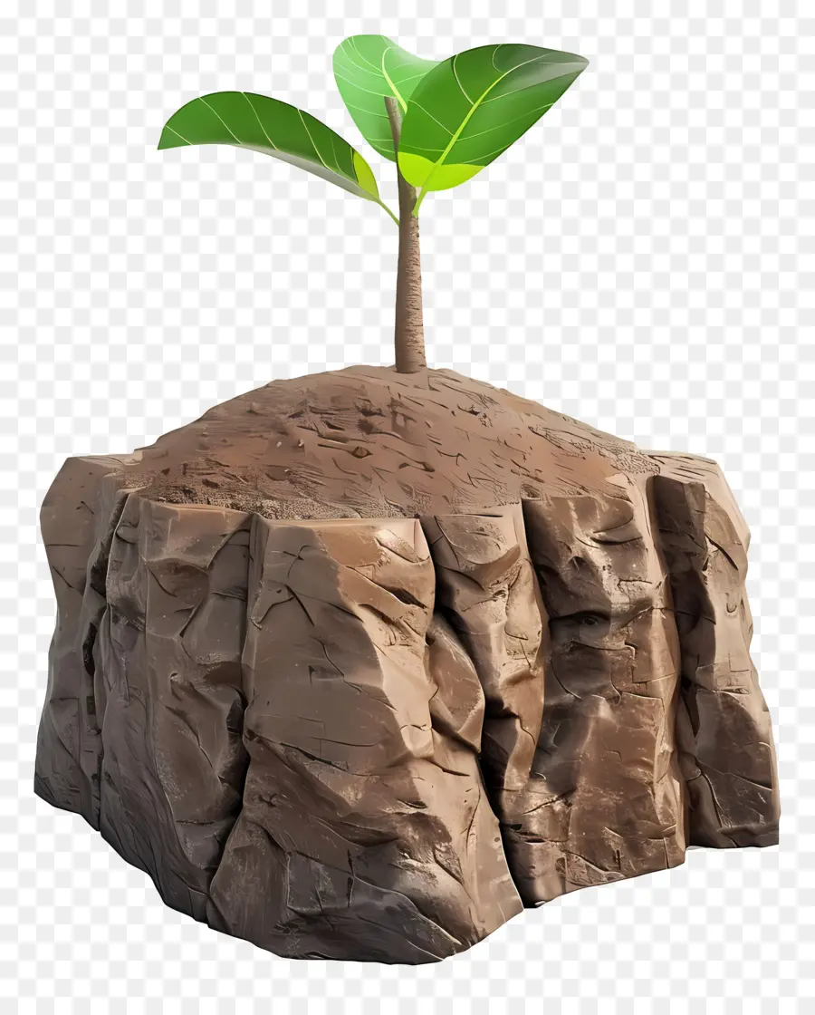 Soil，Planta PNG