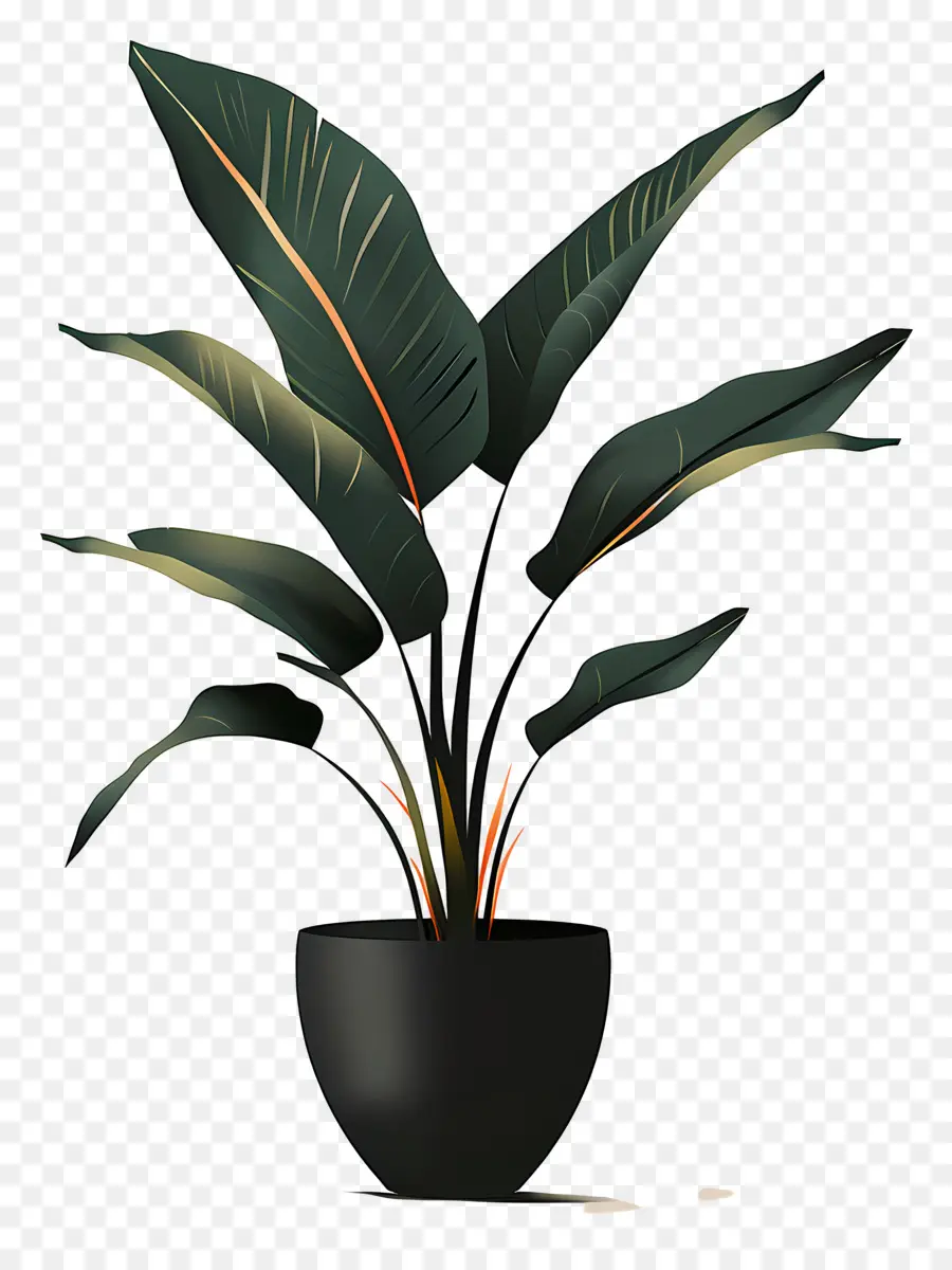 Planta De Vaso，Negro Vaso PNG