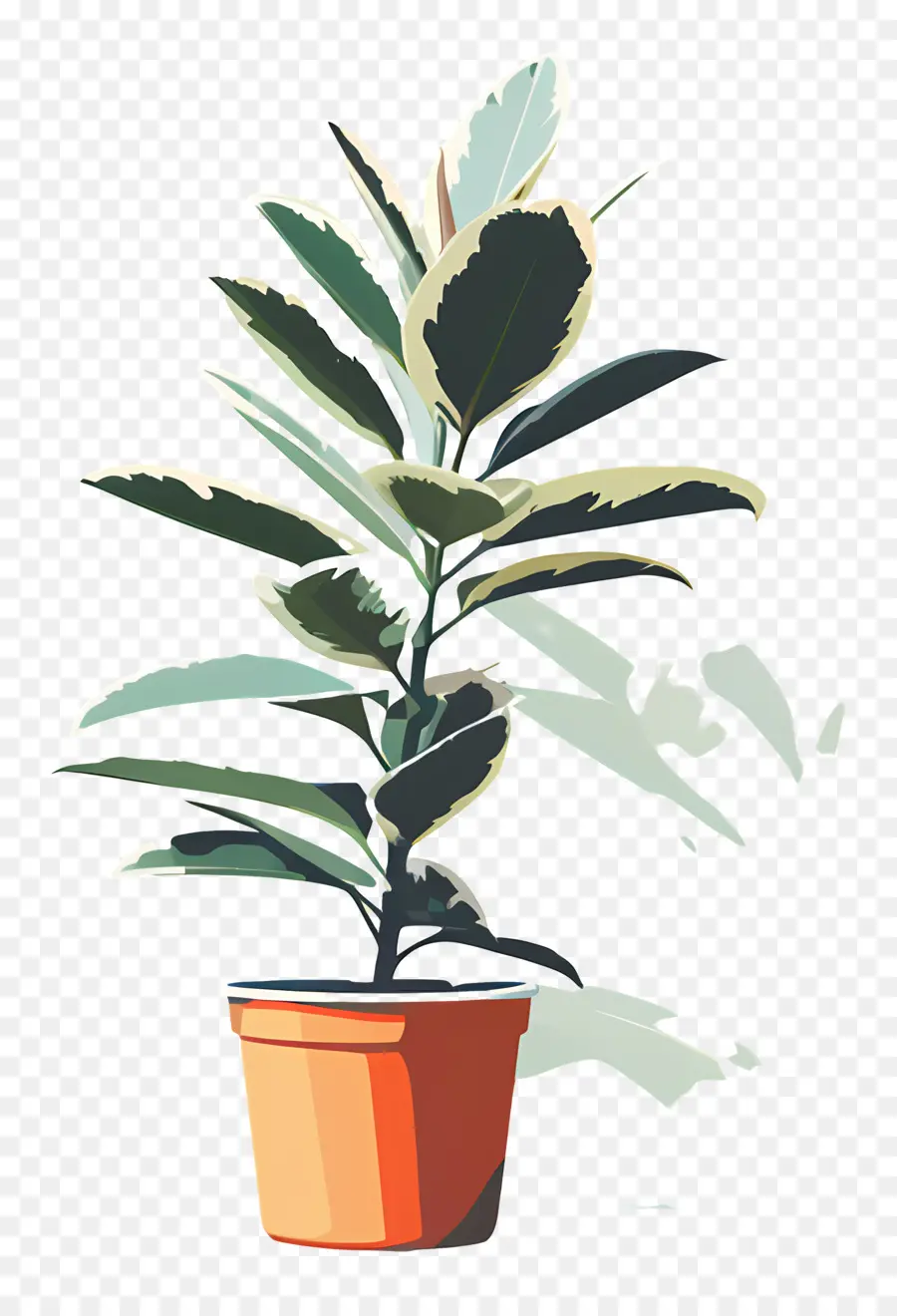 Planta Em Vaso，Folhas PNG