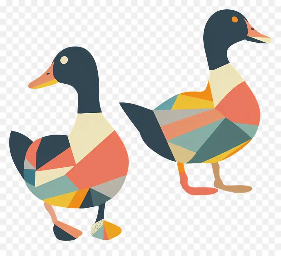 Patos，Patos Coloridos PNG