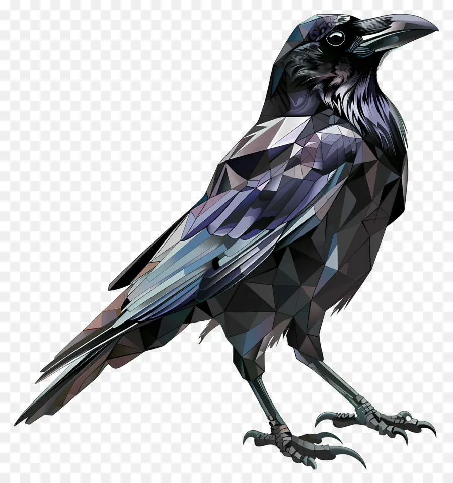 Crow，Preto Corvo PNG