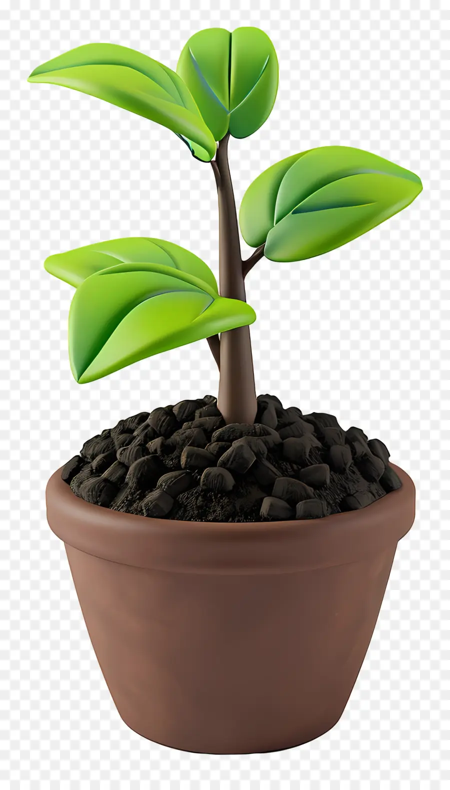 Plantar Solo，Planta Em Vaso PNG