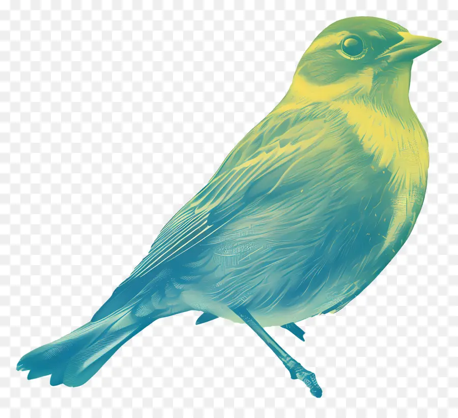 Aves，Pássaro Amarelo PNG