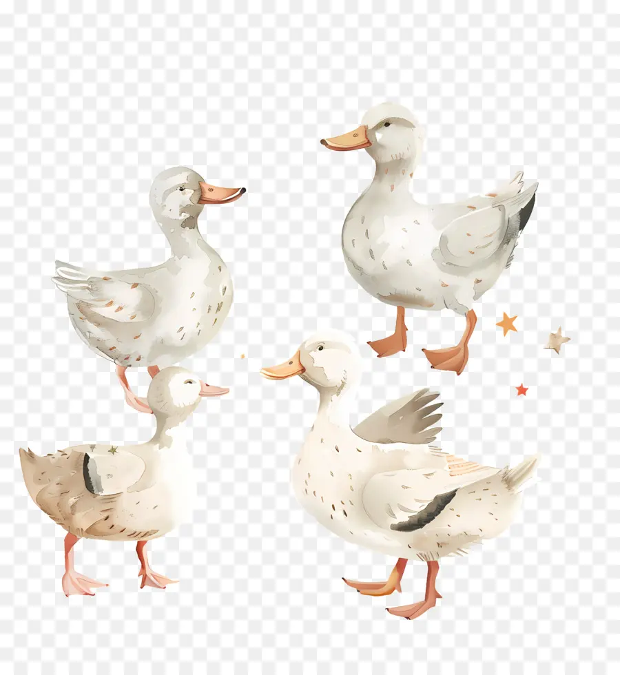 Patos，Branco Patos PNG