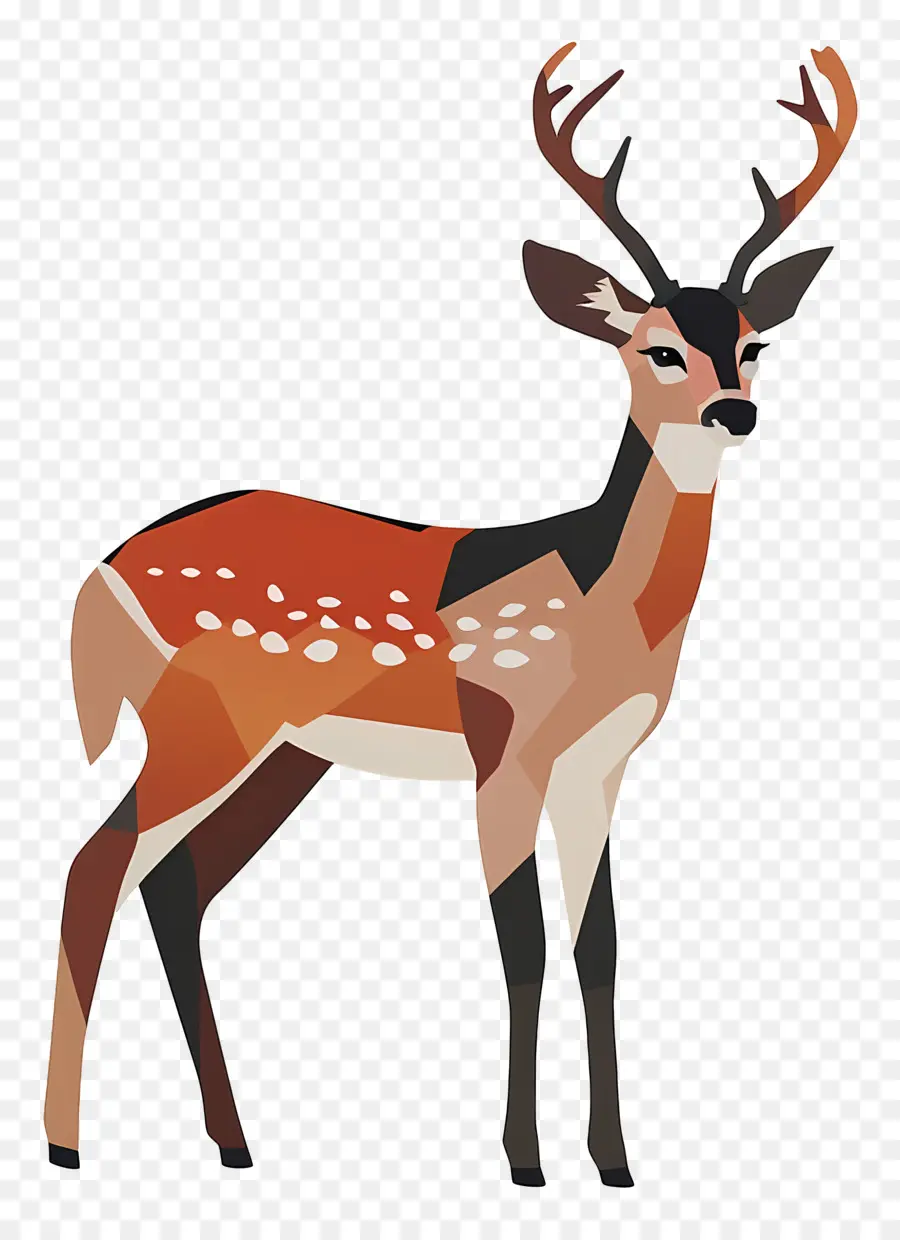 Deer，Red Deer PNG
