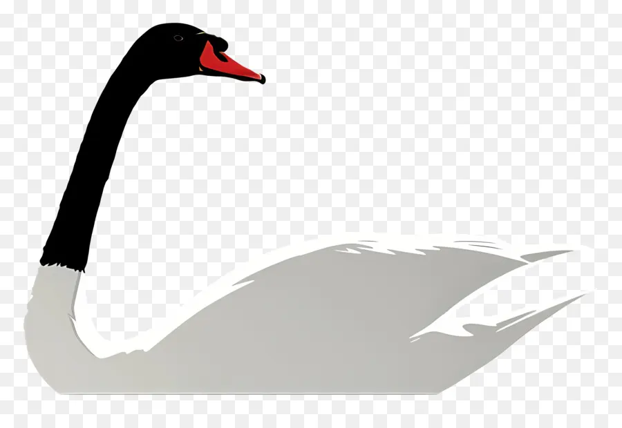 Swan，Aves Aquáticas PNG