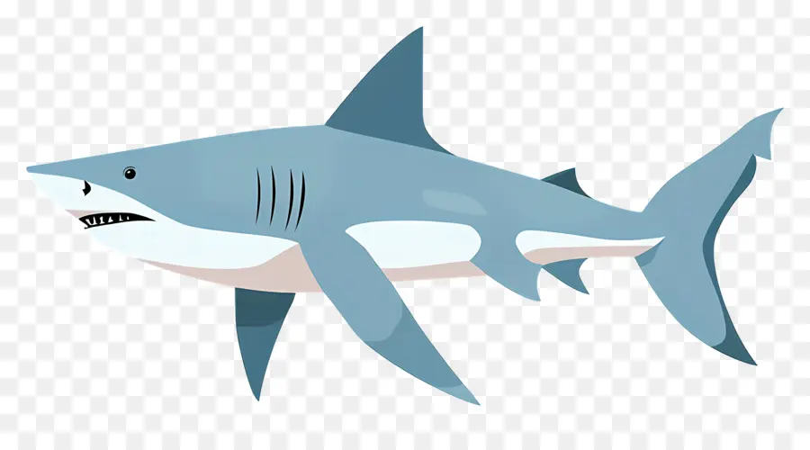 Tubarão，Predatório PNG
