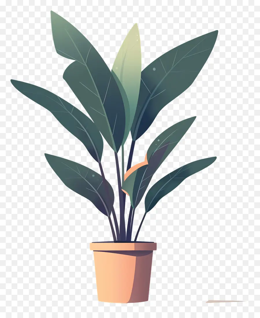 Planta De Vaso，Folhas Verdes Escuras PNG