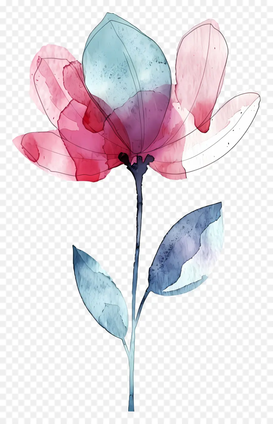 Aquarela Flor，Aquarela PNG