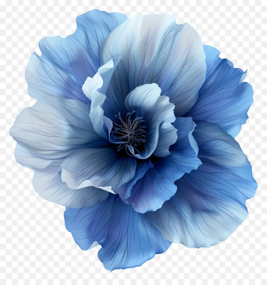 Flor Azul，Flor De Papoula Azul PNG