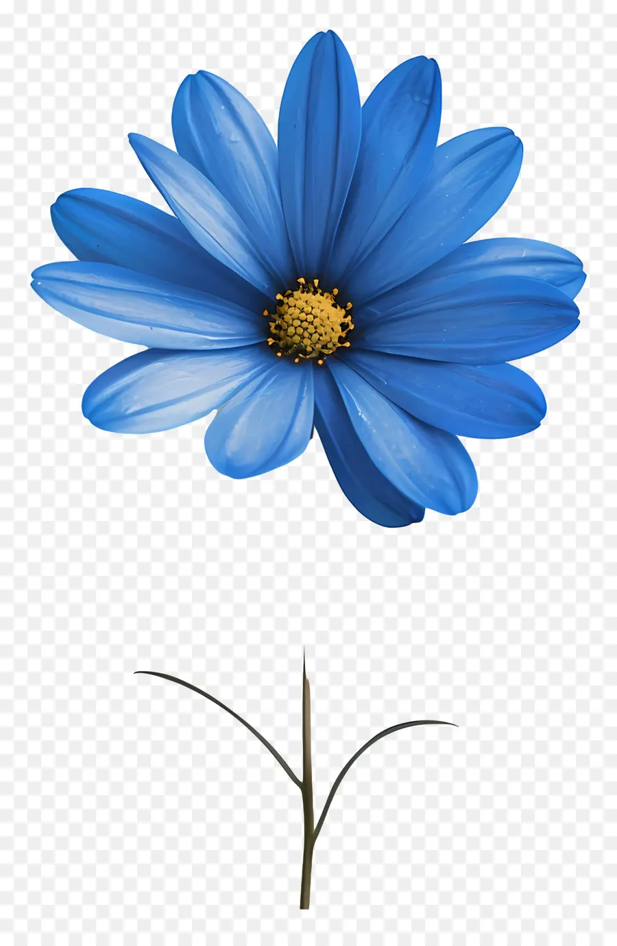 Flor Azul，Margarida PNG