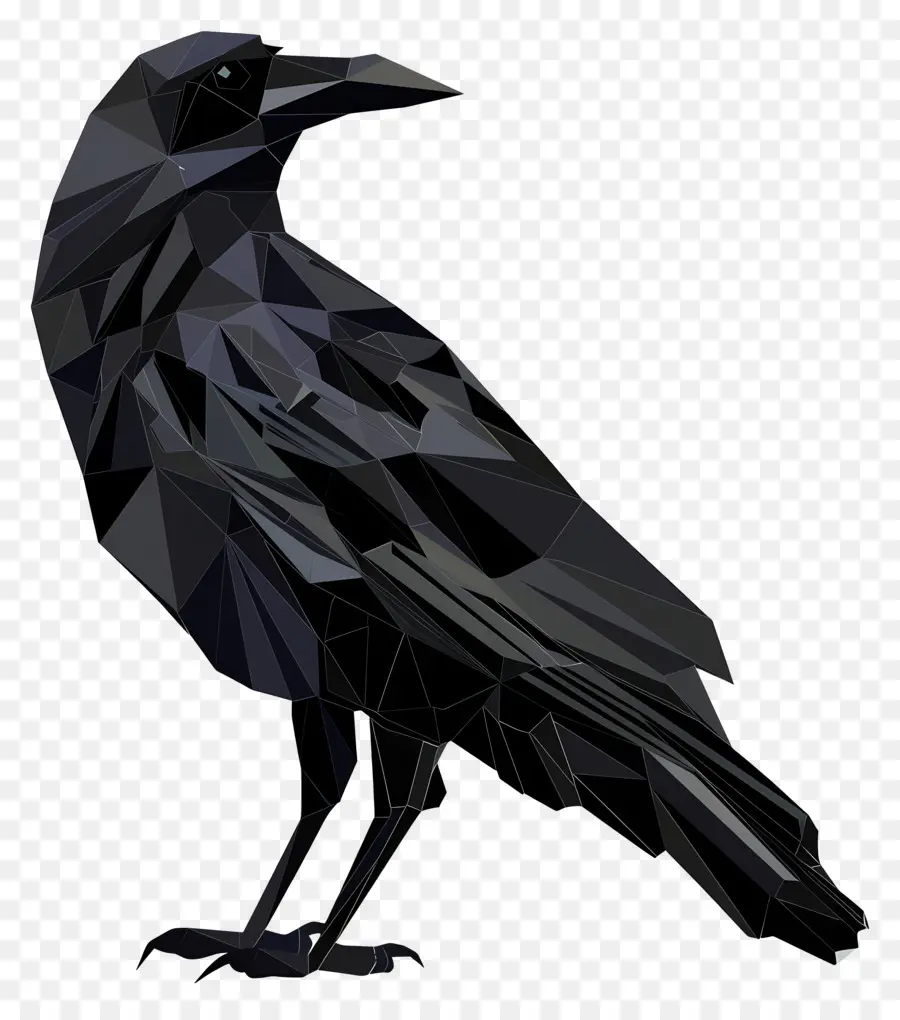 Crow，Penas Pretas PNG