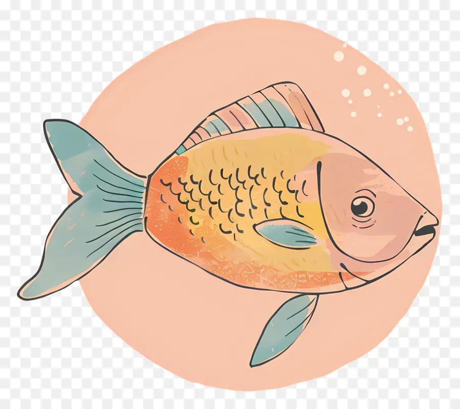 Peixe，Aquático PNG