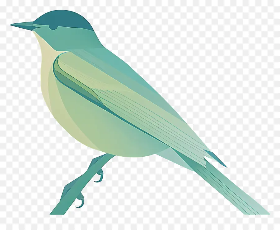 Aves，Pequeno Pássaro PNG