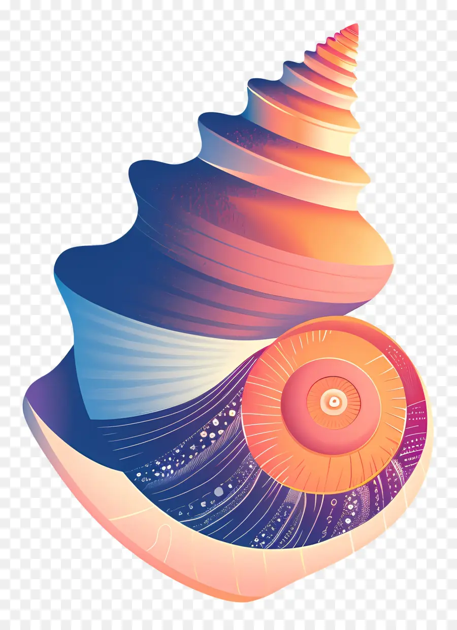 Shell，Concha Em Espiral PNG