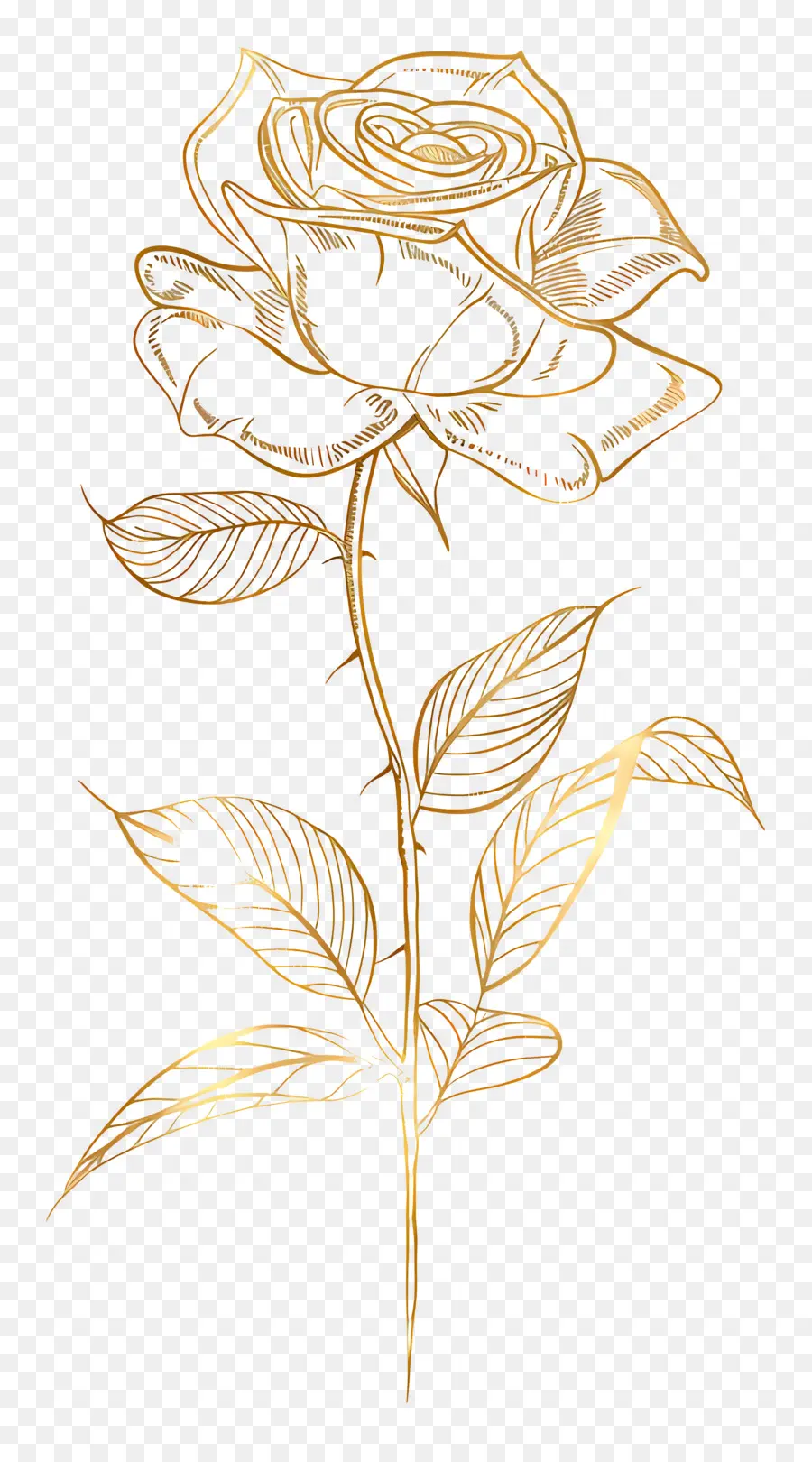 Ouro Rose，Rosa De Ouro PNG