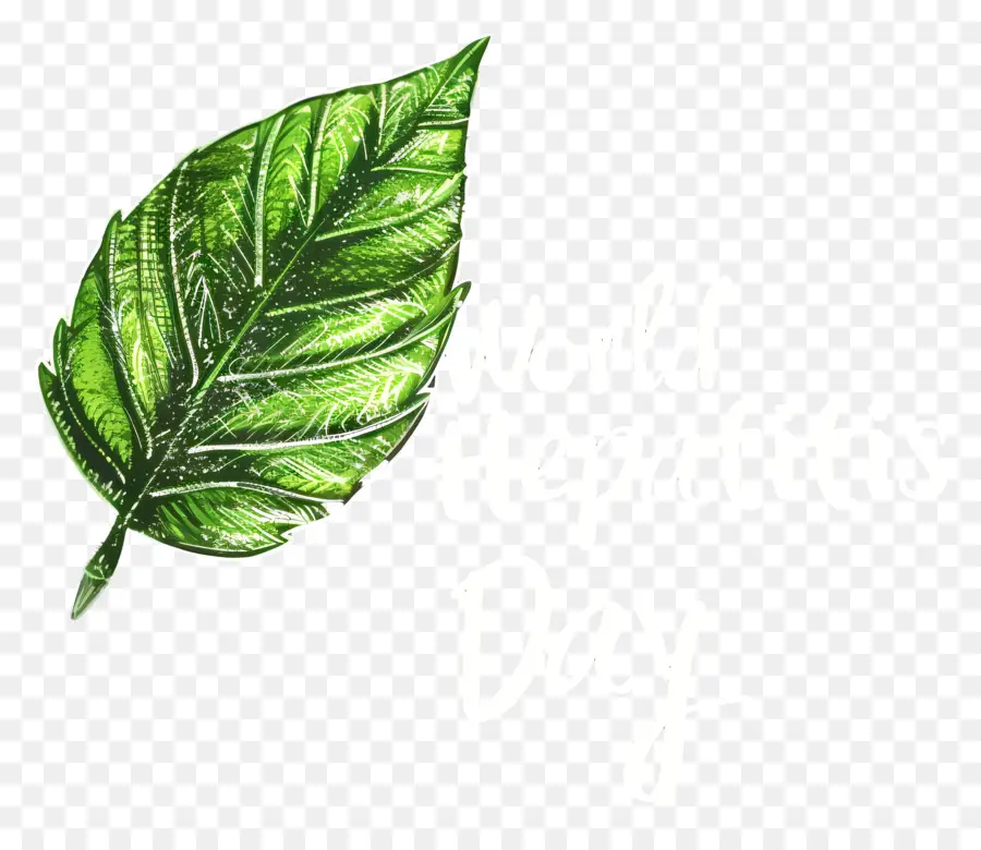 O Dia Mundial Da Hepatite，Planta Hepatica PNG