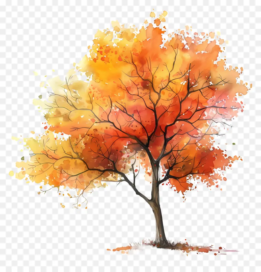 Plano De árvore Em Aquarela，Autumn Tree PNG