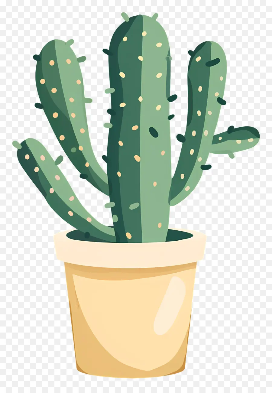 Cactus，Planta De Vaso PNG