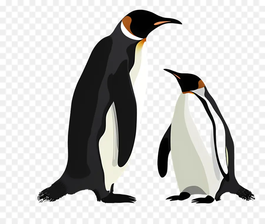 Pinguins，A Vida Selvagem PNG