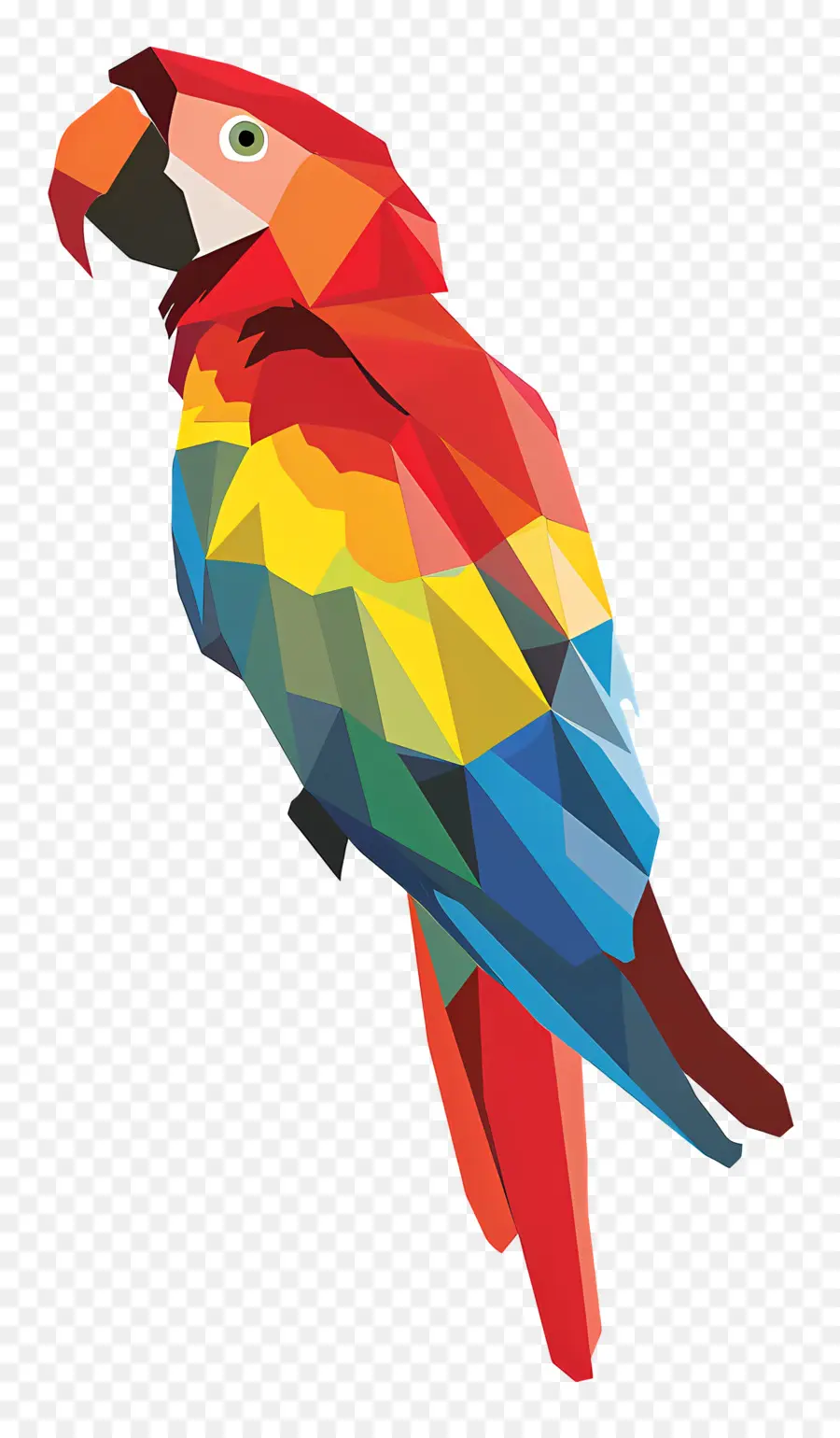 Papagaio，Papagador Do Arco íris PNG