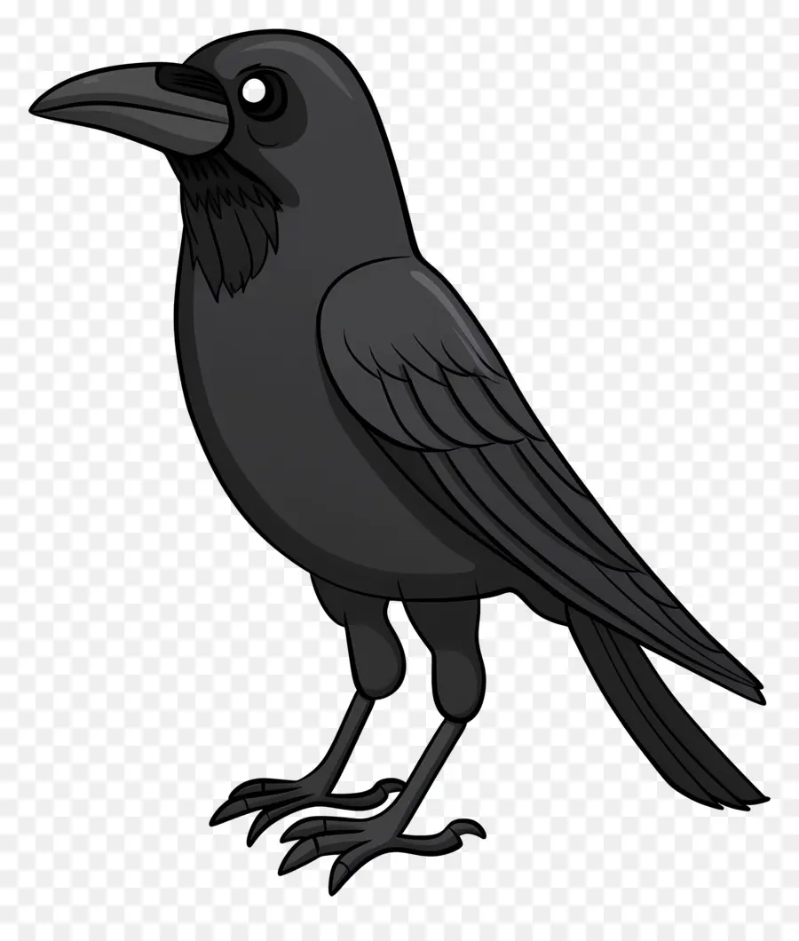 Crow，Preto Corvo PNG