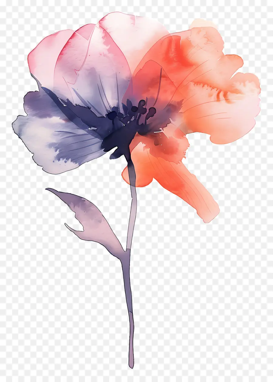 Aquarela Flor，Pintura Das Flores PNG