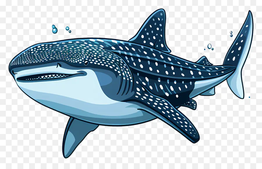 Tubarão Baleia，Cartoon PNG
