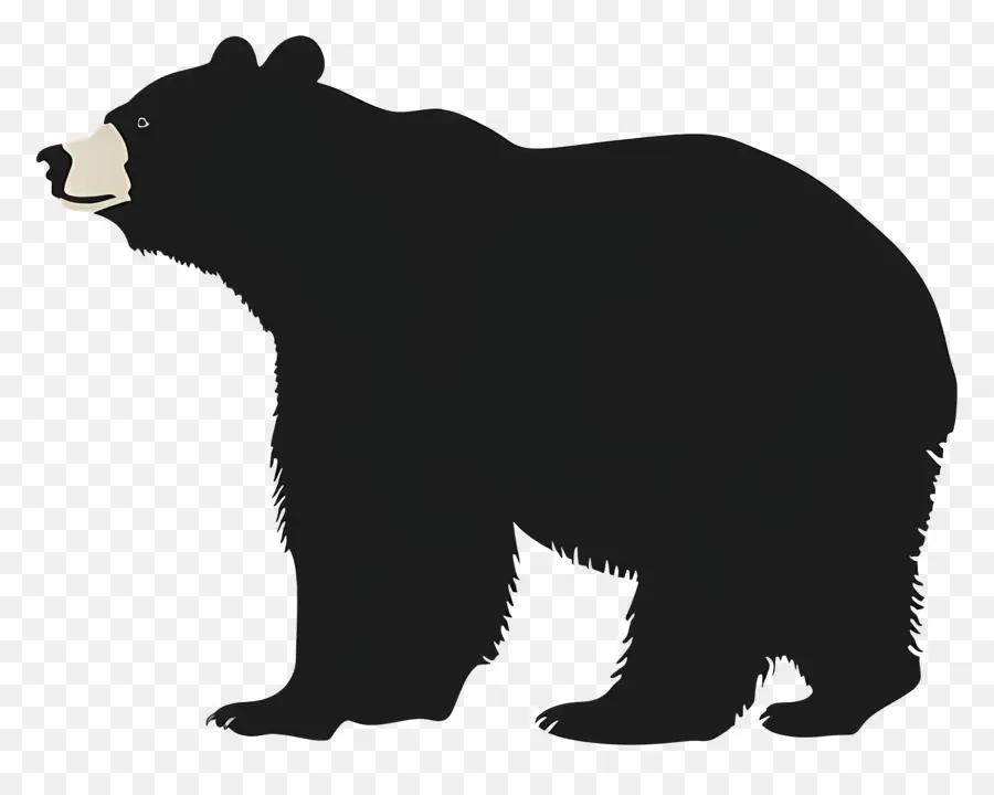 Urso，Urso Preto PNG