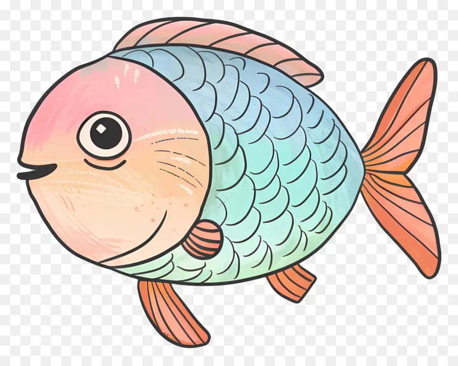 Peixe，Peixes Coloridos PNG