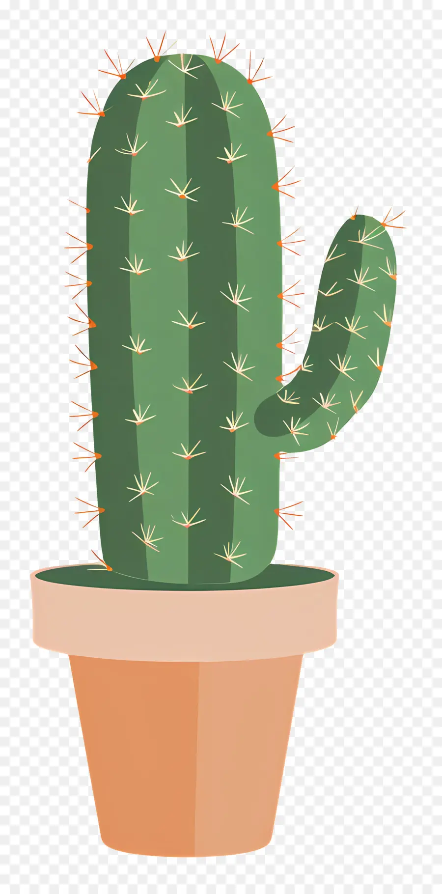 Cactus，Suculenta PNG