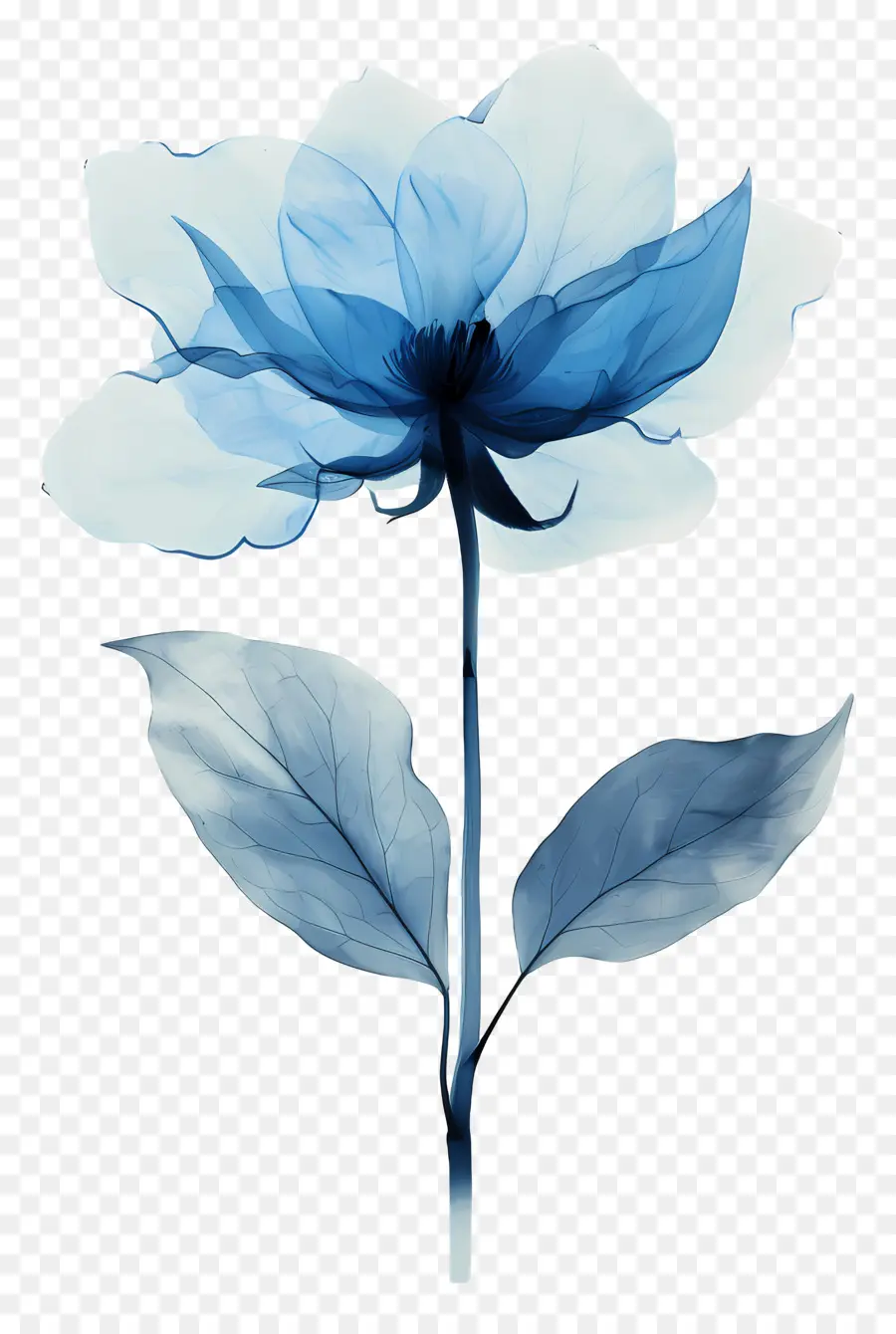 Flor Azul，Flor PNG