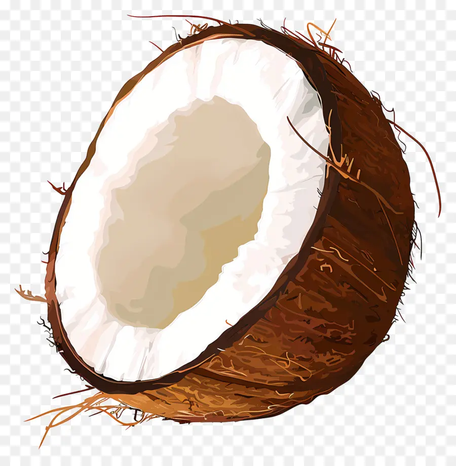 Coco，Receitas De Coco PNG