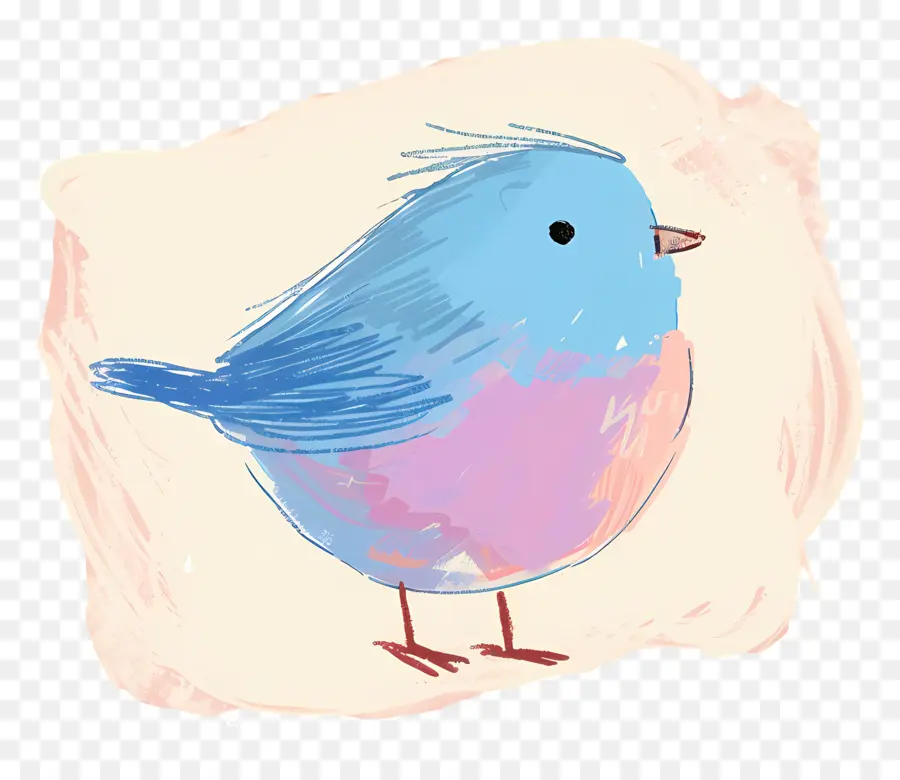 Pássaro Azul，Pássaro Colorido PNG