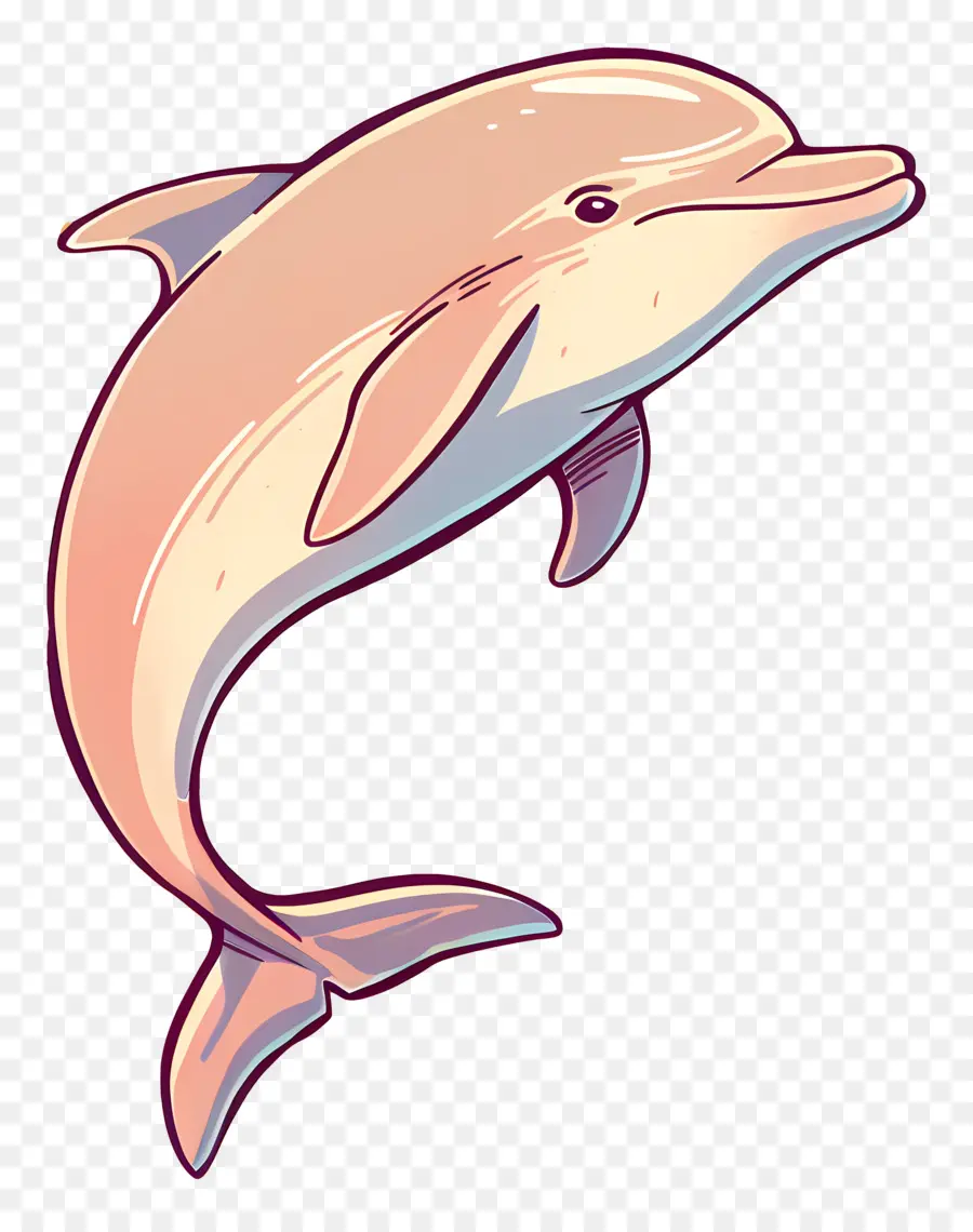 Dolphin，Cartoon Dolphin PNG