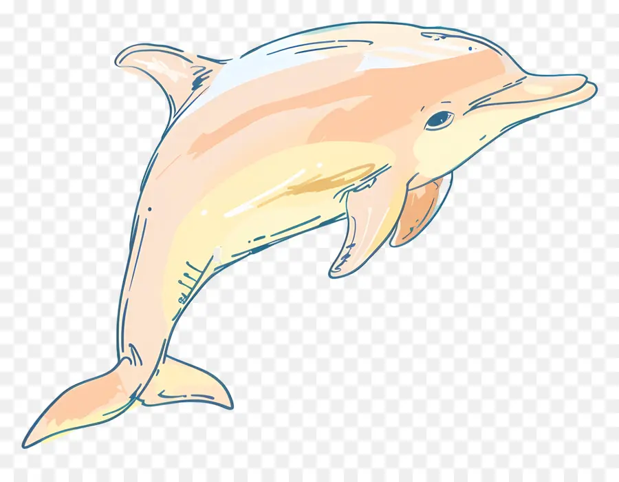 Dolphin，Animal Marinho PNG