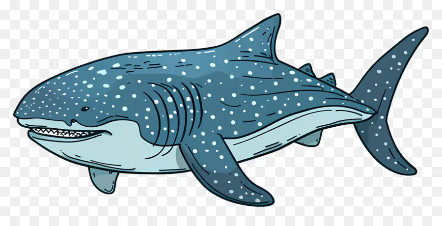 Tubarão Baleia，Cartoon De Tubarão PNG