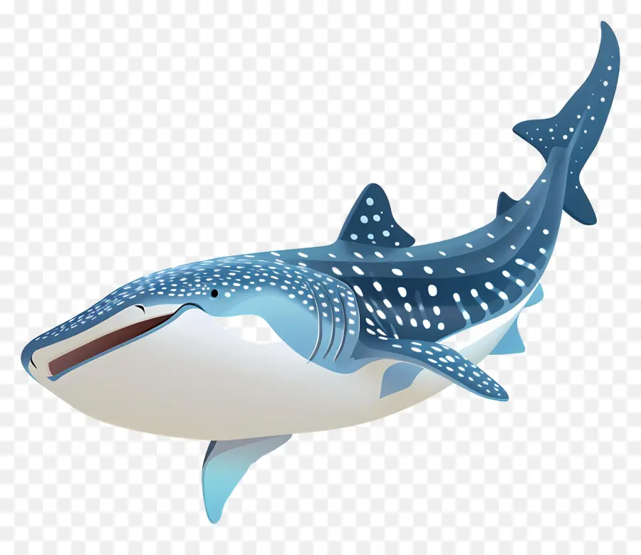 Tubarão Baleia，Vida Marinha PNG