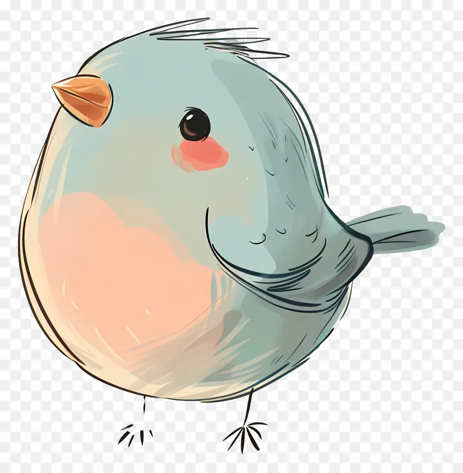 Cartoon Pássaro，Azul Penas PNG