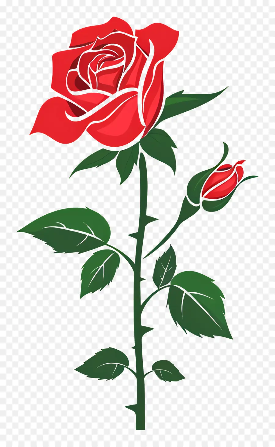 Jardim De Rosas，Rosa Vermelha PNG
