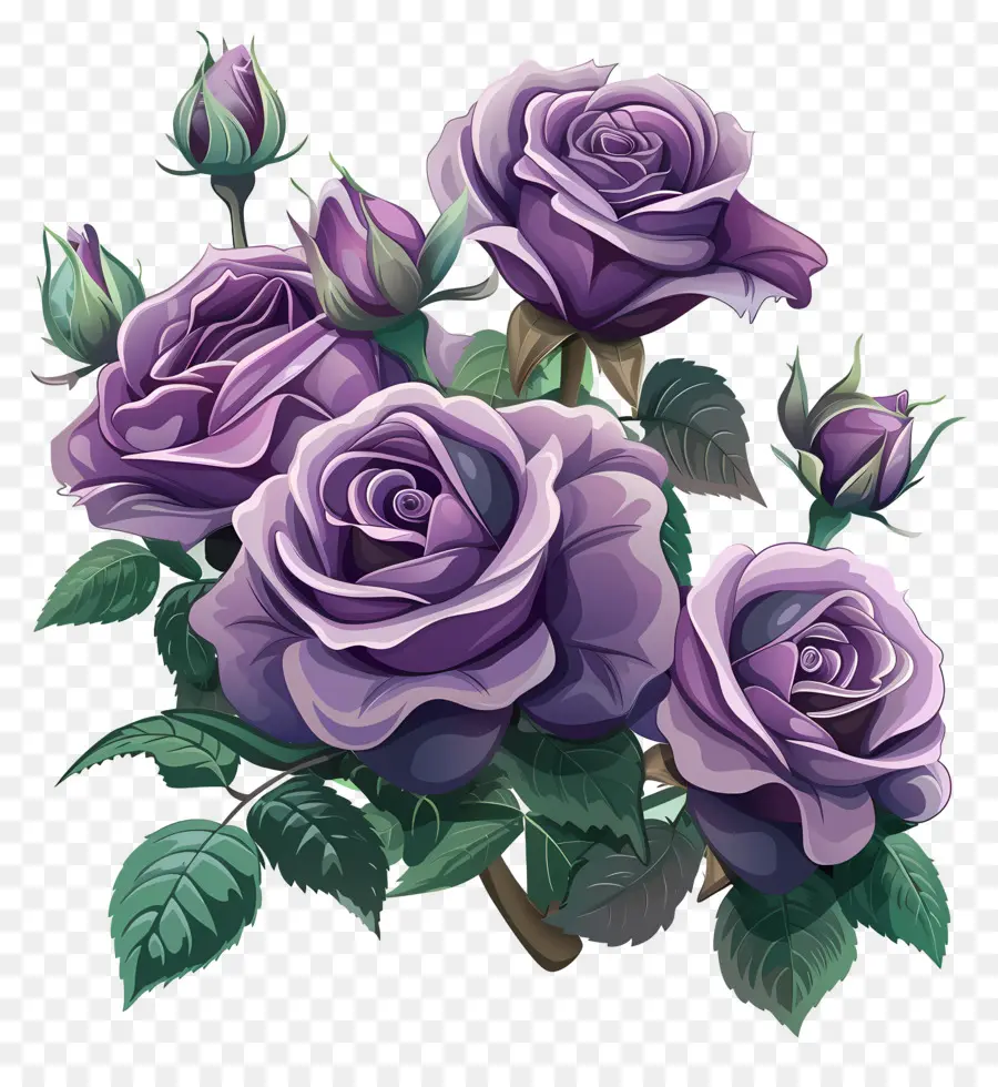 Jardim De Rosas，Roxo Rosas PNG