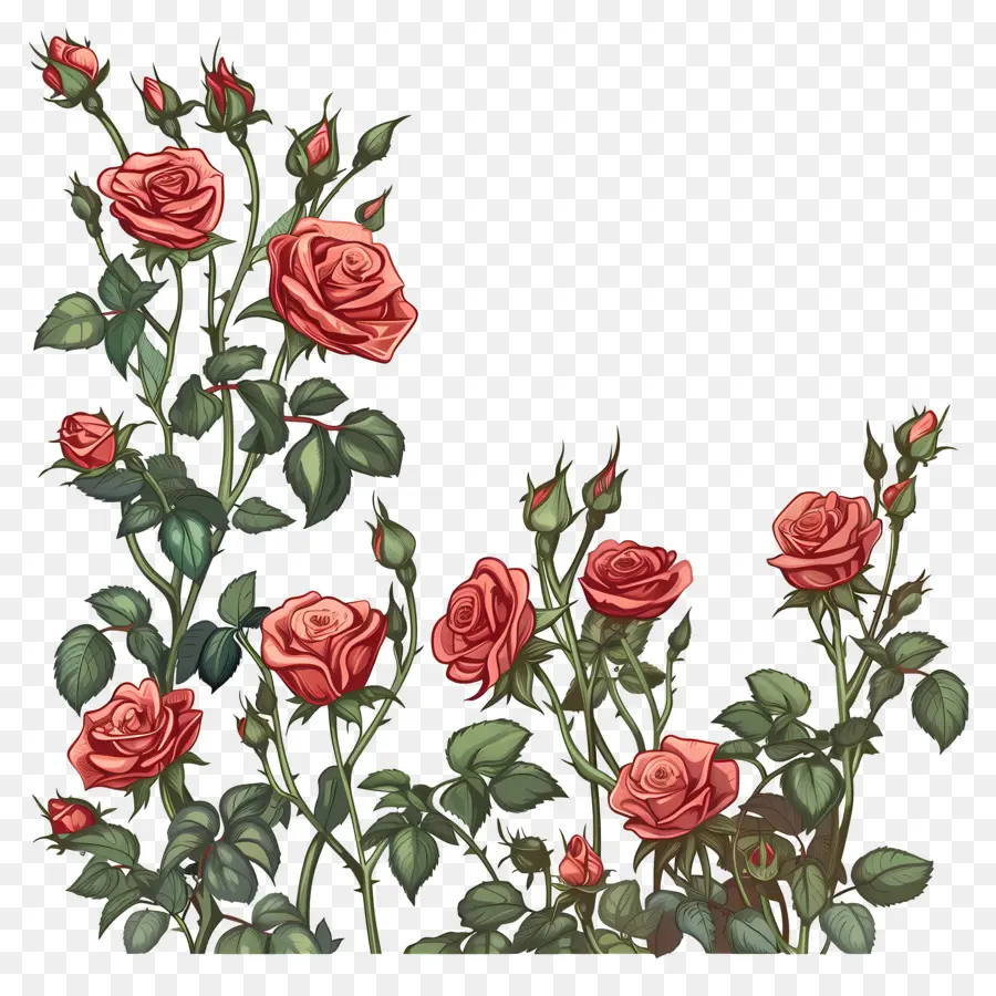 Jardim De Rosas，Rosas Cor De Rosa PNG