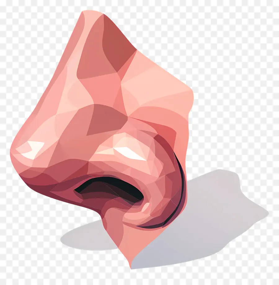 Nariz Clipart，Low Poly PNG