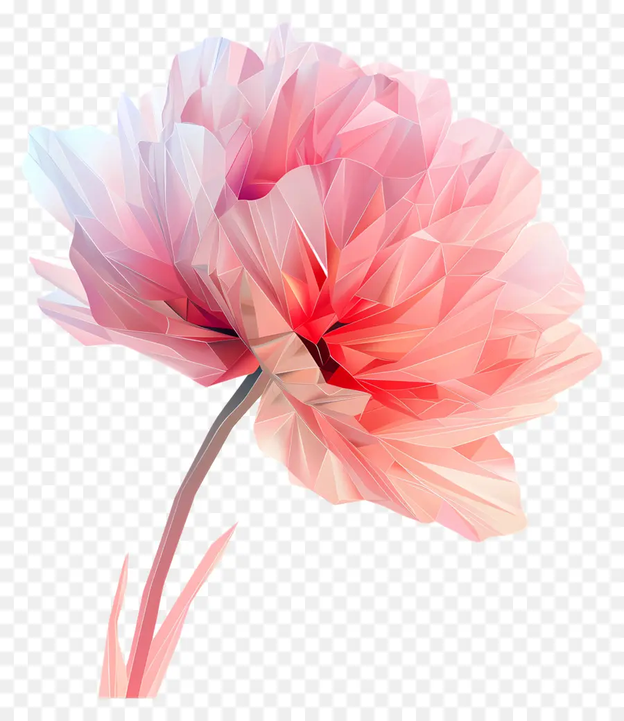 Arte Digital，Flor Rosa PNG