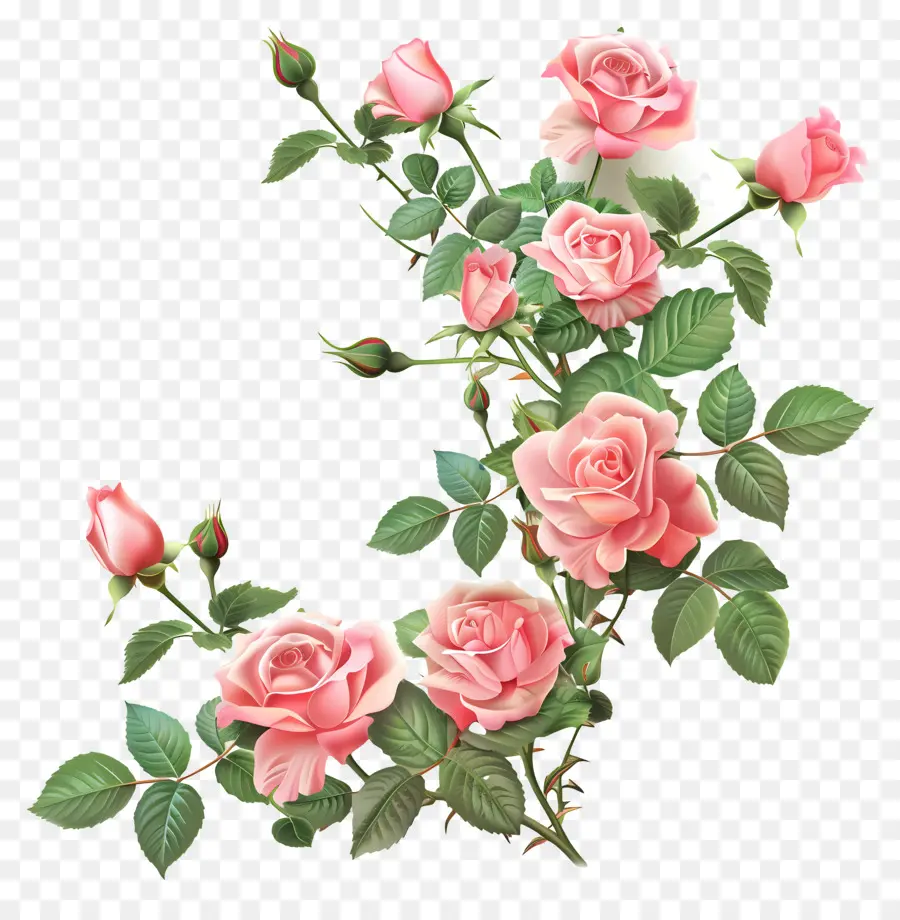 Jardim De Rosas，Rosas Cor De Rosa PNG