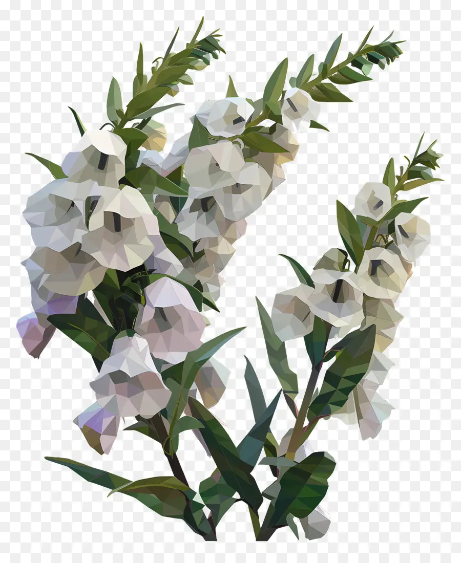 Digital Flor，Cor Da Flor PNG