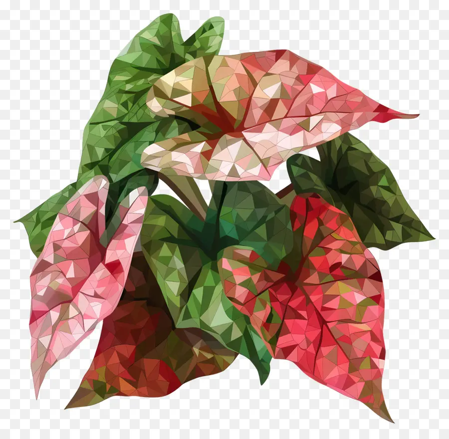 Flor Digital，Folhas PNG