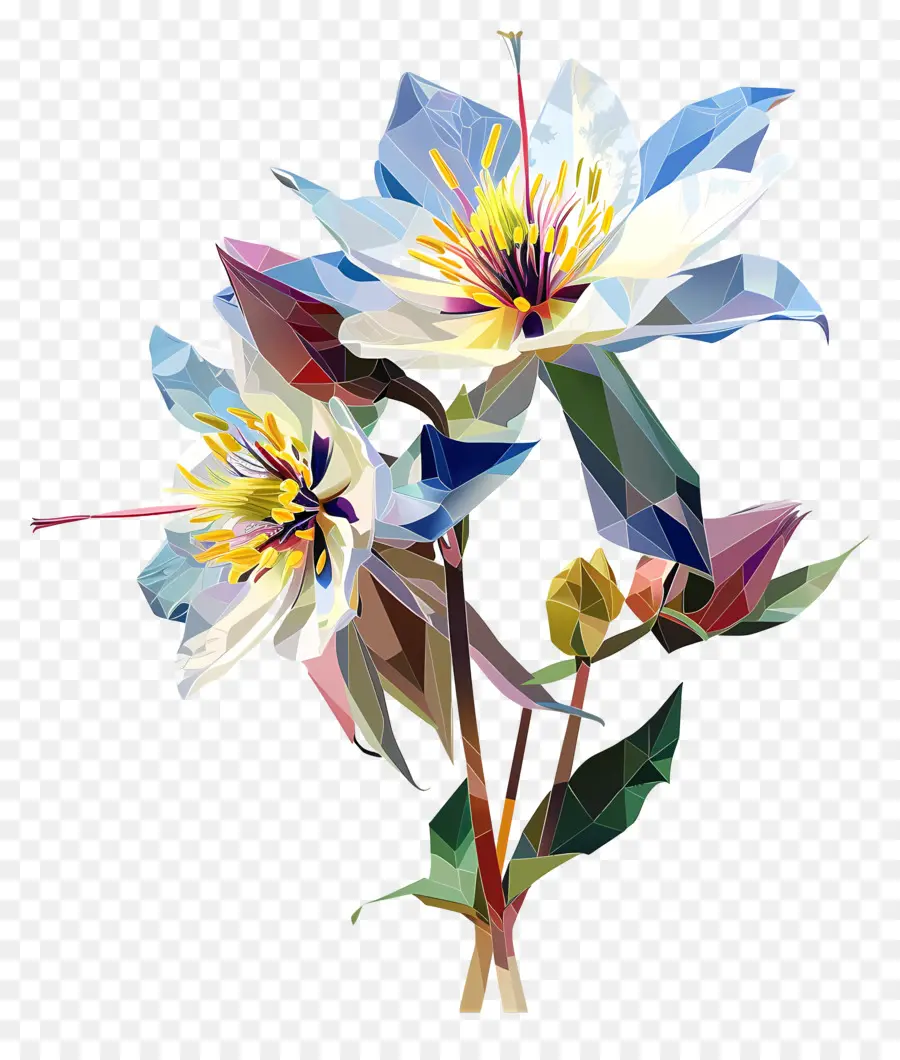 Digital Flor，Flor Branca PNG