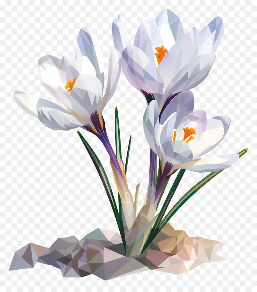 Digital Flor，Branco Crocus PNG