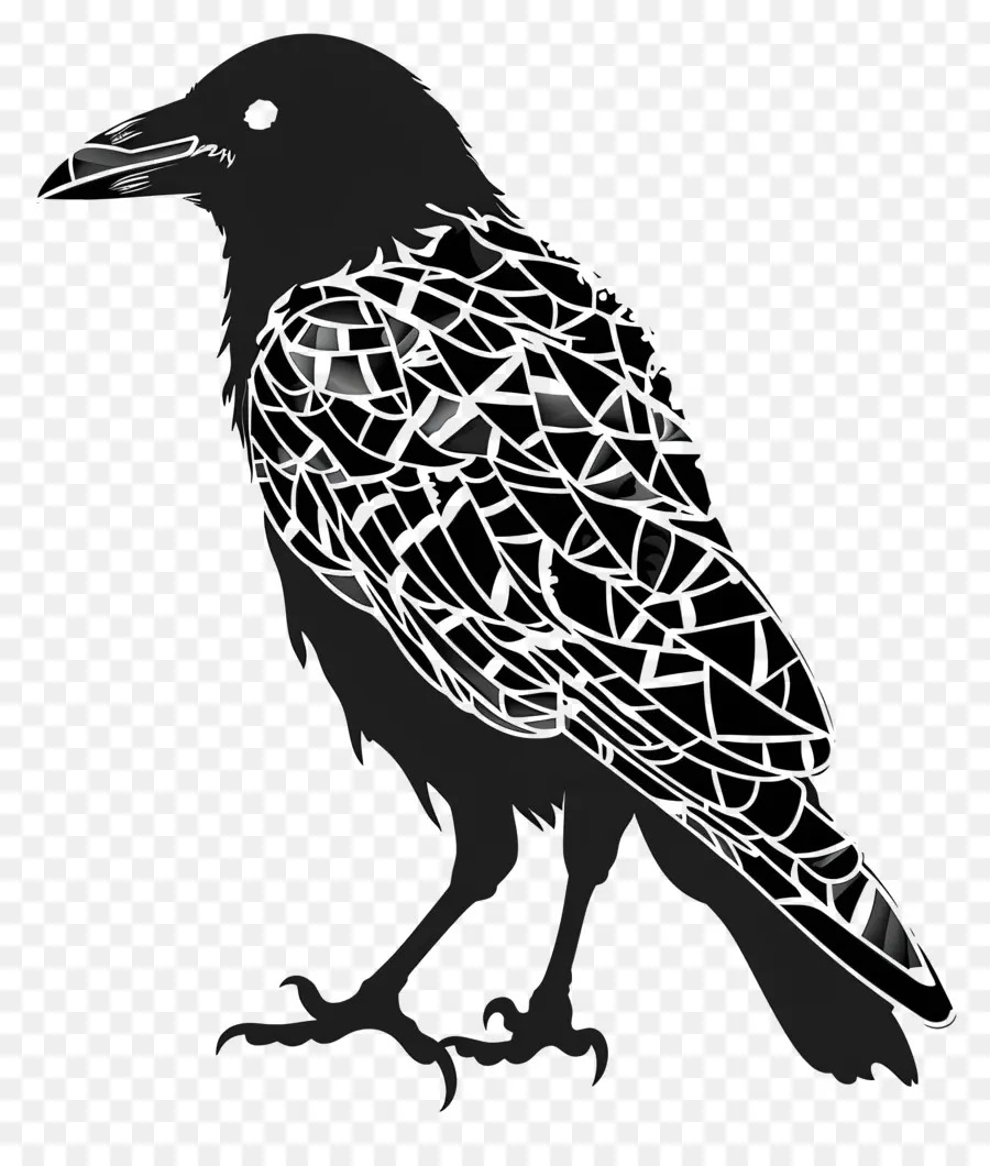 Crow Silhueta，Raven PNG